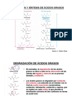 25 Degradación y síntesis de ácidos grasos.pdf
