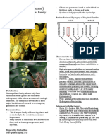 Fabaceae (Leguminosae) : The Pea, Bean and Mimosa Family