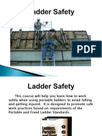 Mu Ladder Safety