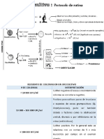 ITU 2019.pptx