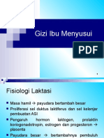 Gizi Ibu Menyusui 