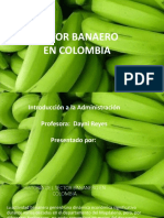 Sector Bananero en Colombia