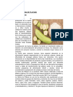 INFORME N°02 Obtencion de Harina de Platano