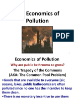 The Economics of Pollution