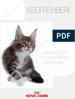 Yavru kedi rehberi..pdf