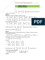 Tema 1. Matrices. Problemas Resueltos.