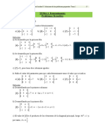 Tema 2. Determinantes. Problemas Resueltos.