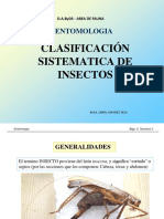 Clasificaciòn de Insectos-2008 PDF