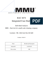 Integrated Case Study: Individual Analysis KRS - Survival of A Small Scale Cleaning Company