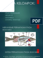 Biologi Ikan Mas