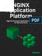 2018 11 19 NGINX Application Platform