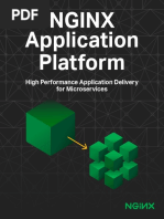 2018 11 19 NGINX - Application - Platform PDF