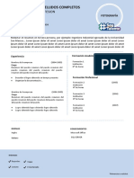 FORMATO DE CV SIN EDITAR.docx