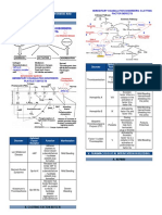 Last Part Hemostasis and Thrombosis