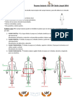 Resumen Anatomia 2015 - Gaston Galfre PDF