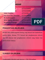 Bilirubin PPT 40 Persen