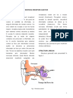 Biofizica_receptiei_auditive.pdf
