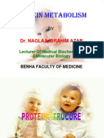 Naglaa Ibrahim Mohamed Azab - Protein Metabolism