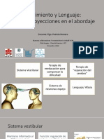 Presentación Sistema de Neuronas Espejos y Lenguaje