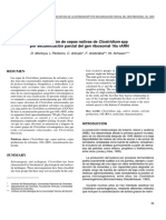 Dialnet-CaracterizacionDeCepasNativasDeClostridiumSppPorSe-4808862.pdf