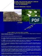 Tuberosa 2 PDF