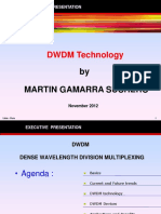 DWDM Executive presentation-2.pdf