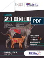Vetscience Gastroenterologia PDF