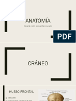 Anatomia Craneo y Cara