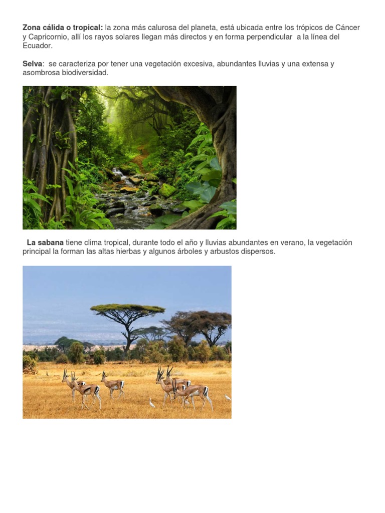 Zona Cálida o Tropical | PDF | Zona tropical | Clima templado