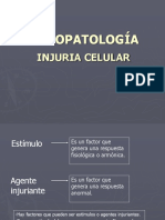 Fisiopatologia de La Celula BCM I PDF