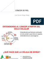 Cáncer de Piel