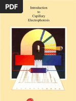 Download Capillary electrophoresis - eletroforese capilar by grubensam SN4086007 doc pdf