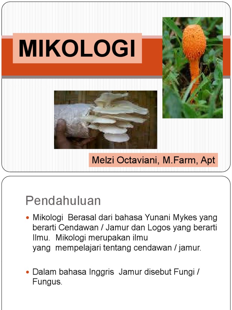 Vii Mikologi Pdf