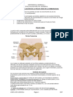 EVALUACION_DE_LA_PELVIS_OSEA_EN_LA_EMBAR.doc