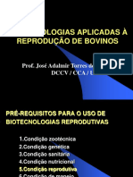 Biotecnologias Reprodutivas em Bovinos