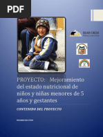 RESUMEN EJECUTIVO PRIMER AVANCE.pdf