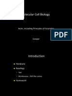 Molecular Cell Biology: Actin, Including Principles of Assembly