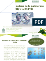 PCR Exposicion All Rights Reserved