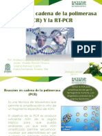 Amplificación genética con PCR