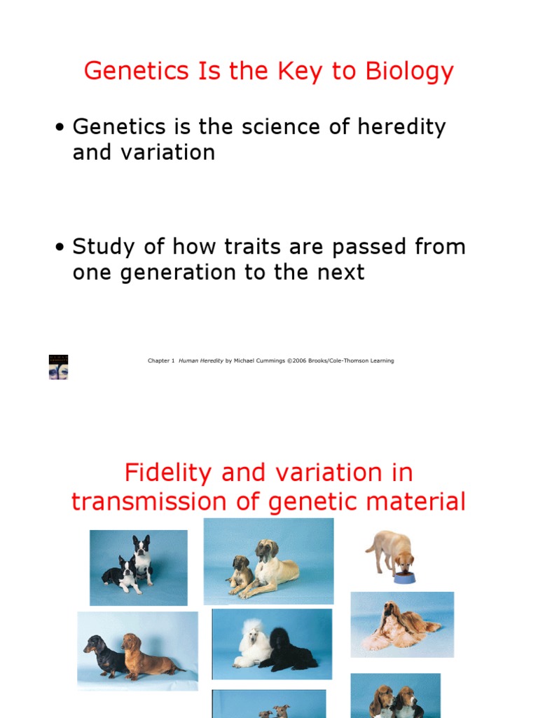 Chapter1 PDF | PDF | Genetics | Gene