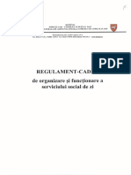 rof centru de zi.pdf