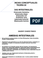 Uspm - Amebas Intestinales