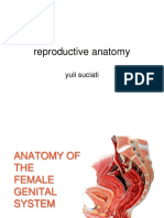 Female Reproductive System (Anatomi RPS)
