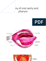 Anatomy of Oral Cavity and Pharynx