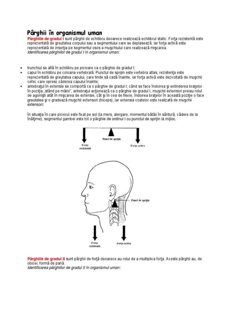 Pârghii În Organismul Uman | PDF