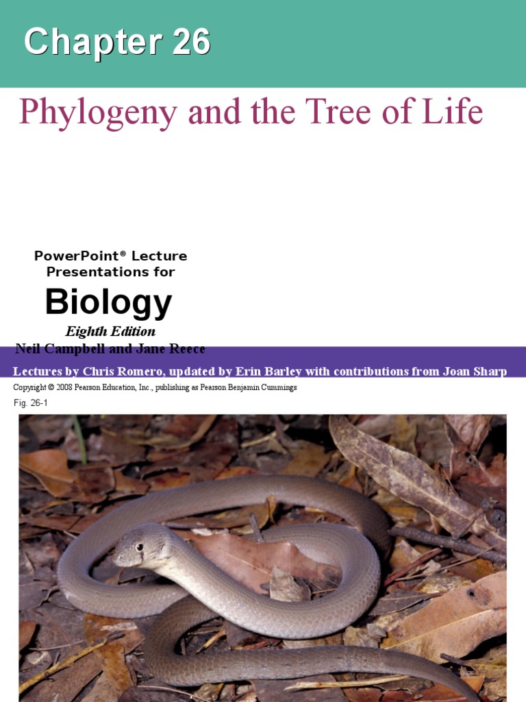 Phylogeny and The Tree of Life: Biology | PDF | Homology (Biology ...