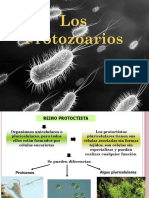 Protozoos Micro