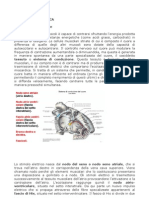 Modulo 1 Fisiologia Cardiaca