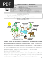 Cadena Alimenticia PDF