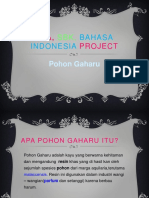 Ipa Project